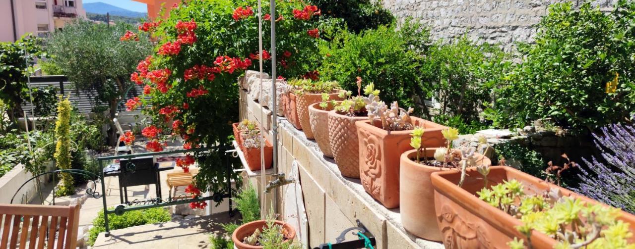Apartment Alena With Terrace And Garden Center Jelsa Jelsa  Ngoại thất bức ảnh